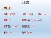 部编版语文八年级下册5《大自然的语言》课件（37张PPT）