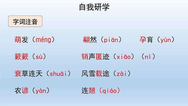 部编版语文八年级下册5《大自然的语言》课件（37张PPT）05