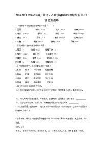 初中语文19*登勃朗峰同步达标检测题