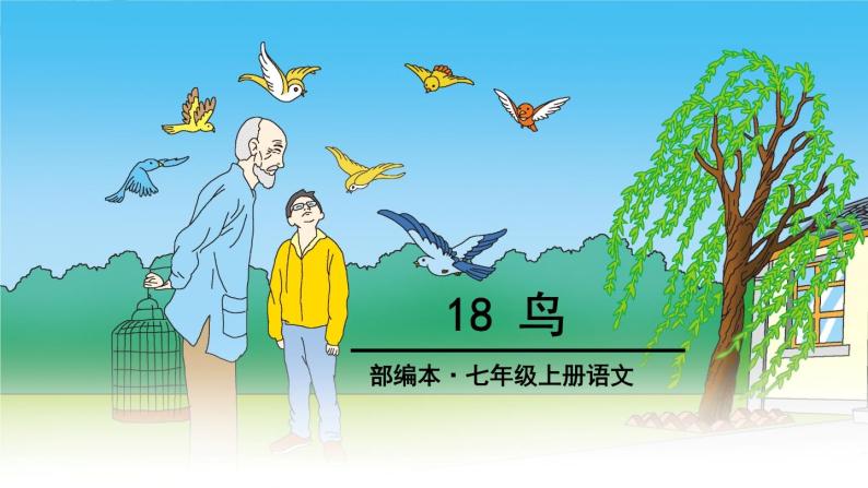 18、鸟 课件01