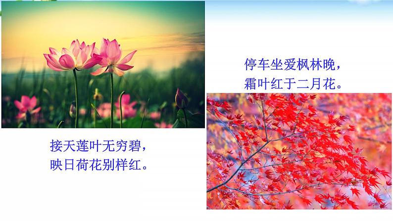 4、古代诗歌四首 课件04