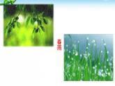 3、雨的四季 课件