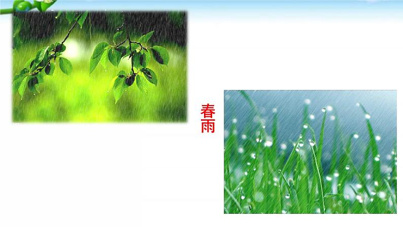 3、雨的四季 课件04
