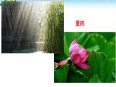 3、雨的四季 课件