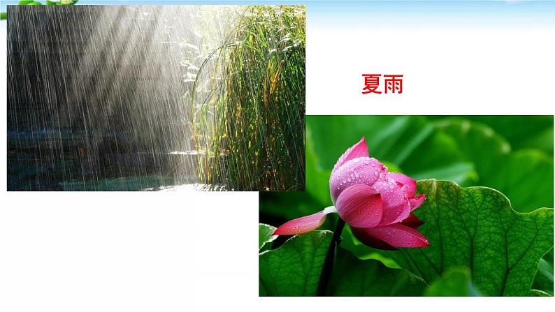 3、雨的四季 课件05