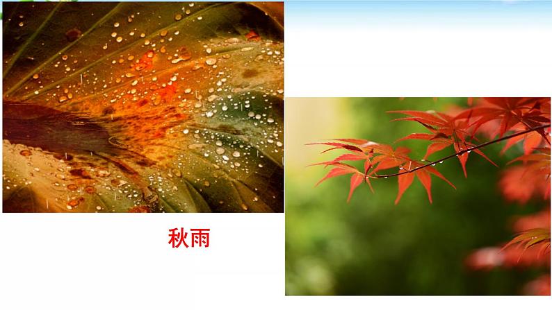 3、雨的四季 课件06