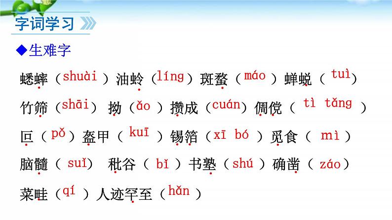 9、从百草园到三味书屋 课件08