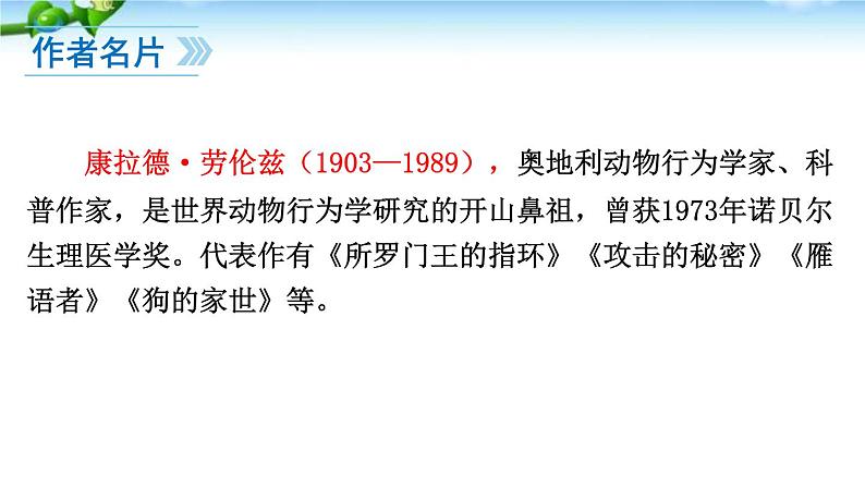 19、动物笑谈 课件04