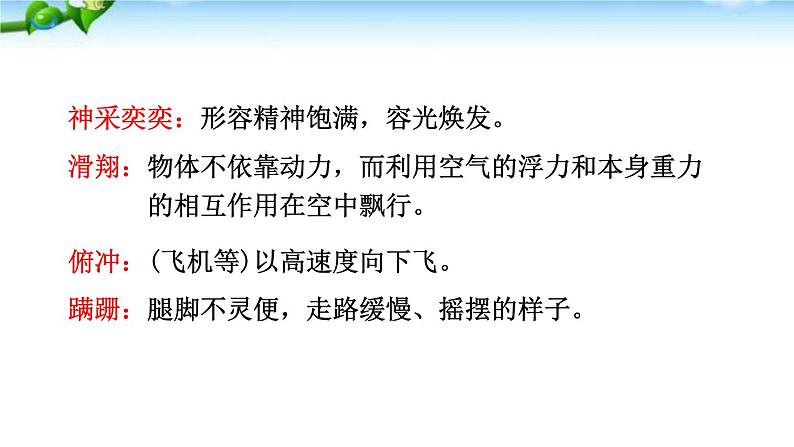 19、动物笑谈 课件07