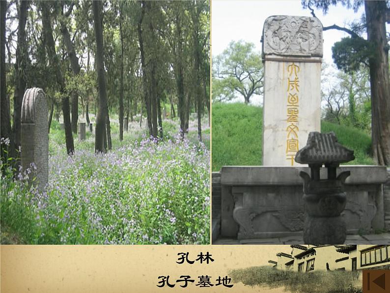 12、《论语》十二章 课件04