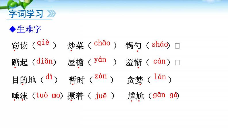 11、窃读记 课件08