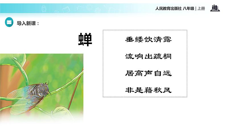 【教学课件】《蝉》（语文人教八上）02