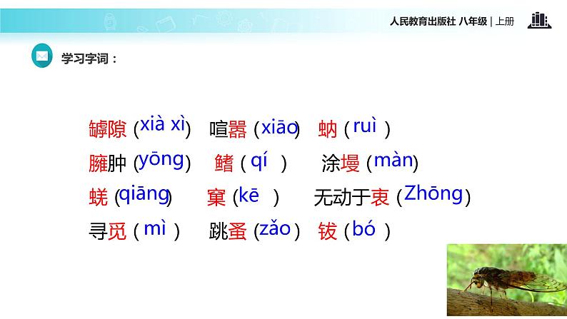 【教学课件】《蝉》（语文人教八上）06