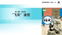 人教部编版八年级上册3 “飞天”凌空——跳水姑娘吕伟夺魁记教学ppt课件