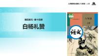 人教部编版八年级上册14 白杨礼赞教学ppt课件
