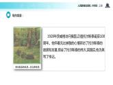【教学课件】《列夫托尔斯泰》（语文人教八上）