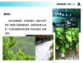 【教学课件】《昆明的雨》（部编）