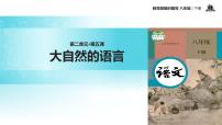 人教部编版八年级下册5 大自然的语言教学ppt课件