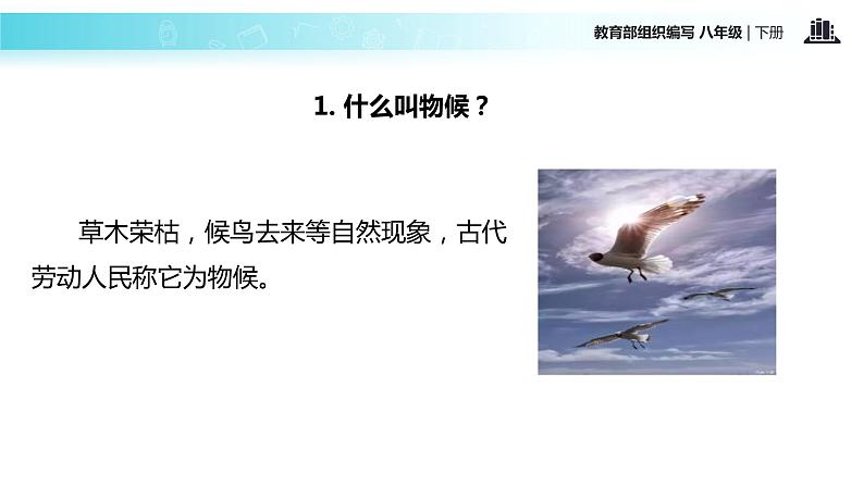 探究式教学【教学课件】《大自然的语言》（部编）07