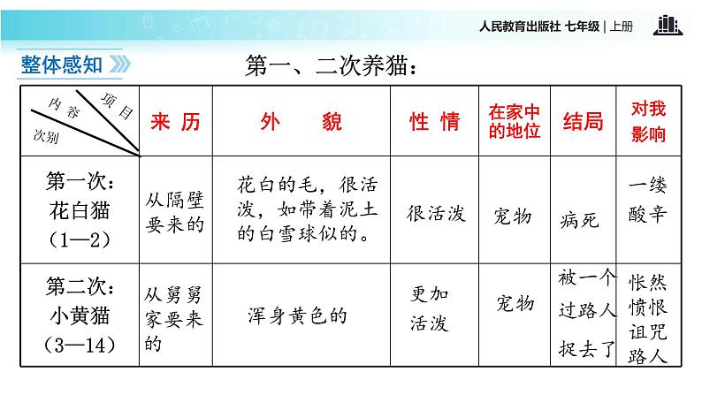 【教学课件】《猫》（语文部编七上）第7页