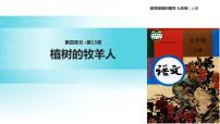 人教部编版七年级上册13 植树的牧羊人教学ppt课件