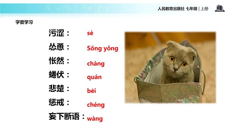【教学课件】《猫》（人教）08