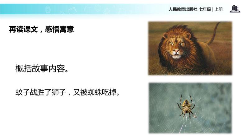 【教学课件】《蚊子和狮子》（人教）03