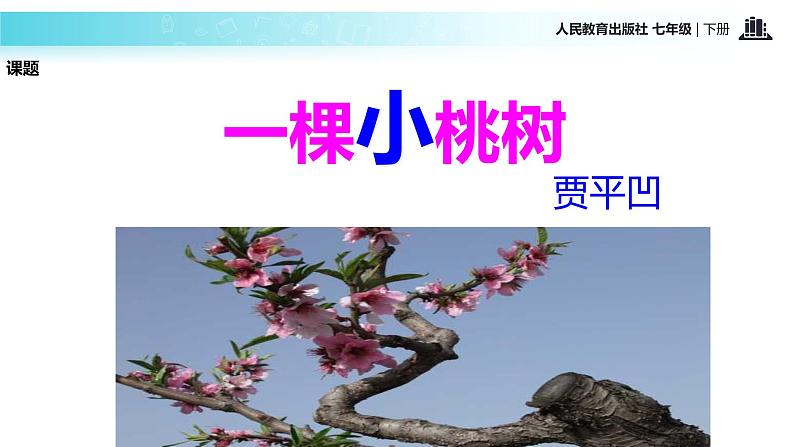 探究式教学【教学课件】《一颗小桃树》（人教）第3页