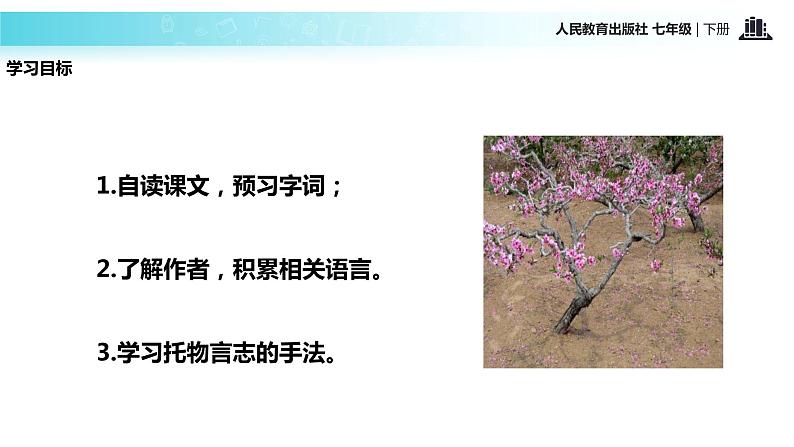 探究式教学【教学课件】《一颗小桃树》（人教）第4页