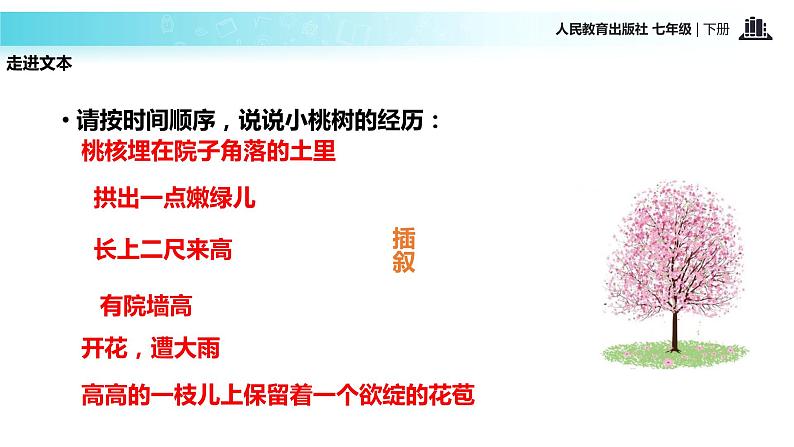 探究式教学【教学课件】《一颗小桃树》（人教）第6页