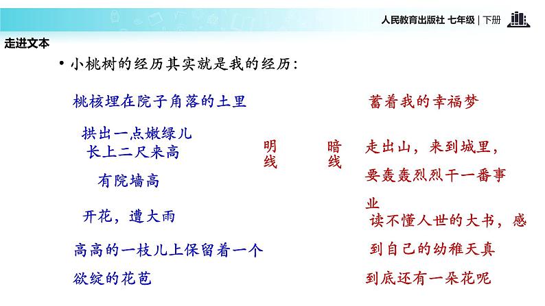 探究式教学【教学课件】《一颗小桃树》（人教）第7页