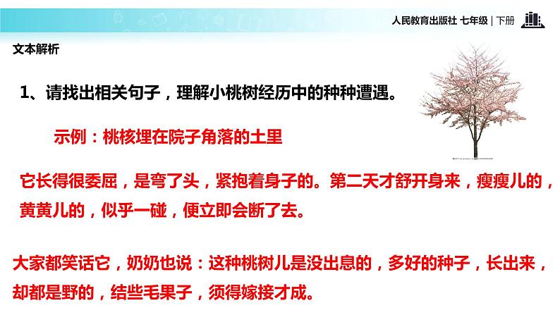 探究式教学【教学课件】《一颗小桃树》（人教）第8页