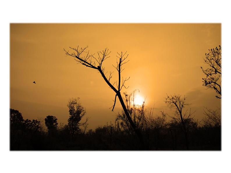 4 《古代诗歌四首》PPT课件第5页