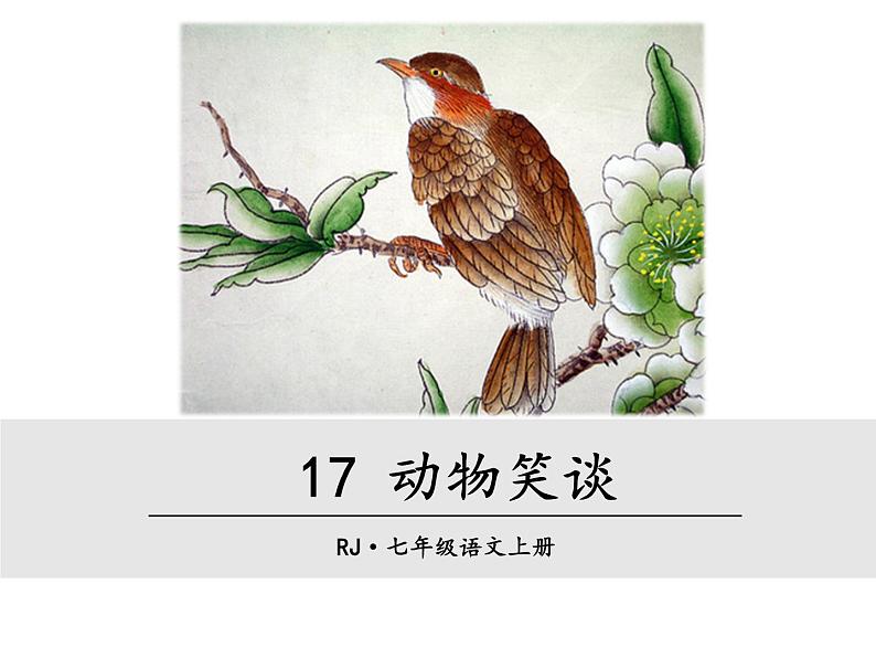17 《动物笑谈》PPT课件  初中 / 语文 / 人教部编版 / 七年级上册 / 第五单元 /01
