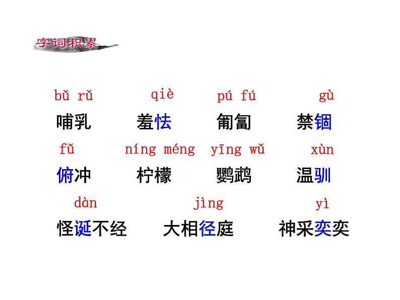 17 《动物笑谈》PPT课件  初中 / 语文 / 人教部编版 / 七年级上册 / 第五单元 /05