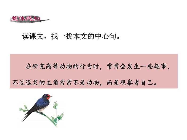 17 《动物笑谈》PPT课件  初中 / 语文 / 人教部编版 / 七年级上册 / 第五单元 /06