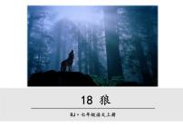 初中语文人教部编版七年级上册第五单元18 狼图文ppt课件