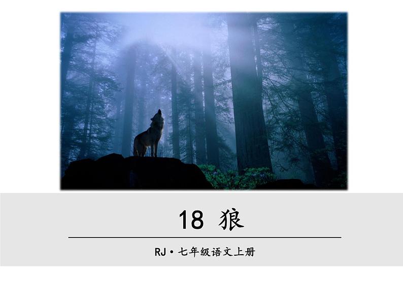 18《 狼》PPT课件    初中 / 语文 / 人教部编版 / 七年级上册 / 第五单元 /01