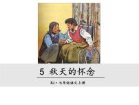 初中语文人教部编版七年级上册5 秋天的怀念教案配套ppt课件