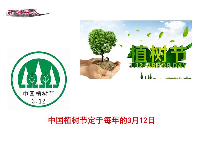 13 《植树的牧羊人》PPT课件03