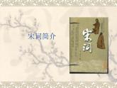 《江城子_密州出猎》网课3.13 课件