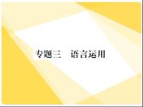 2021届新人教版八年级语文下册专题三：语言运用习题课件