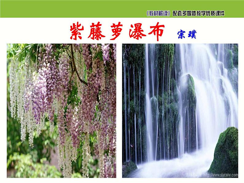 七年级语文下册同步课件17：紫藤萝瀑布02