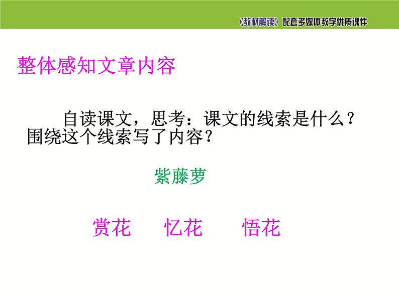 七年级语文下册同步课件17：紫藤萝瀑布06