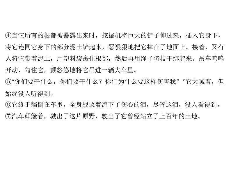 人教版语文九年级下册第10课《那树》课件08