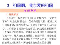 人教部编版九年级下册第一单元1 祖国啊，我亲爱的祖国课文ppt课件