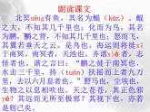 2020—2021学年部编版语文八年级下册第21课《庄子二则——北冥有鱼》课件（共23张PPT）