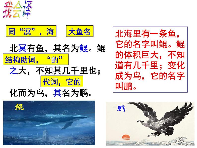 2020—2021学年部编版语文八年级下册第21课《庄子二则》课件（共39张PPT）08