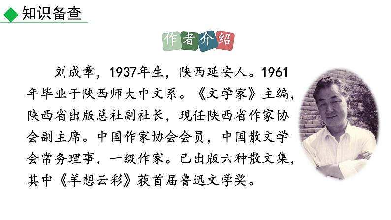 2020-2021学年部编版语文八年级下册3《安塞腰鼓》课件第4页