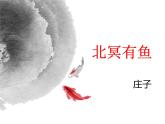 2020—2021学年部编版语文八年级下册第21课《庄子二则——北冥有鱼》课件（共19张PPT）